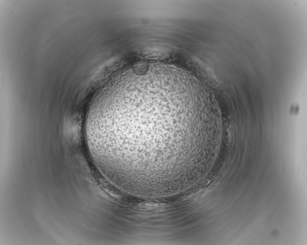 X0000094180745200711021005