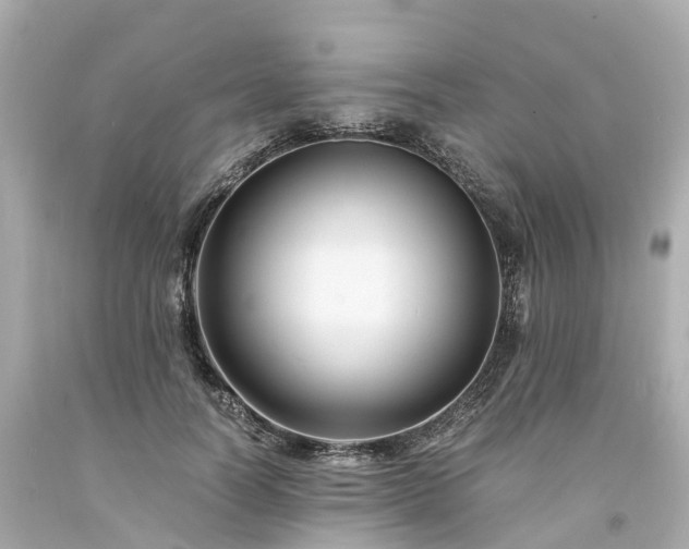 X0000094180746200711021005