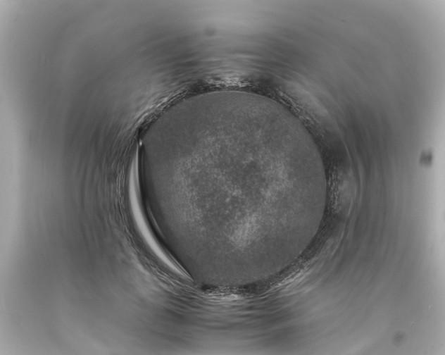 X0000094180747200711021005