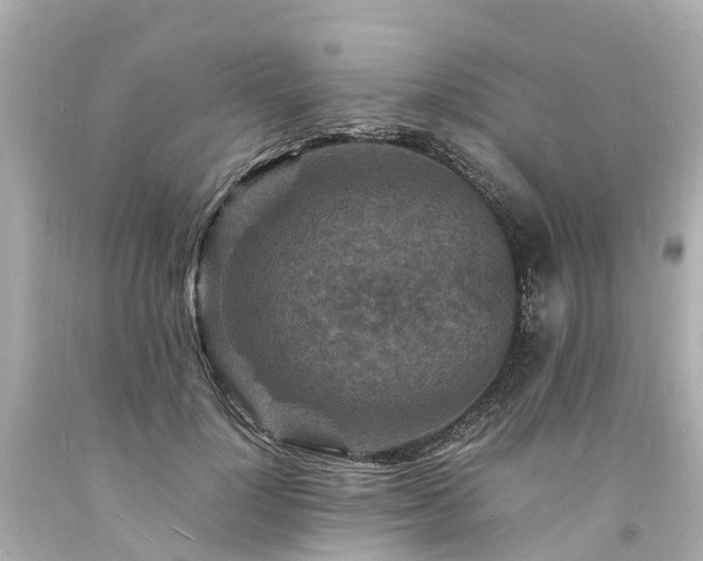 X0000094180748200711021005