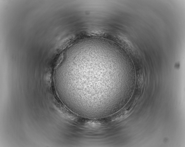 X0000094180749200711021005