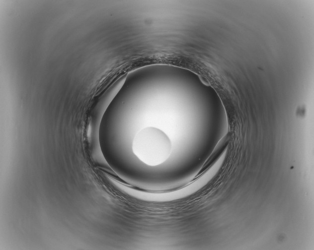 X0000094180750200711021005