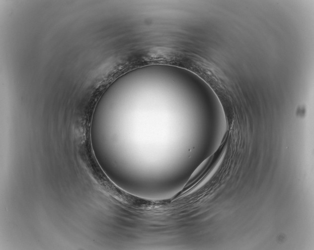 X0000094180751200711021005