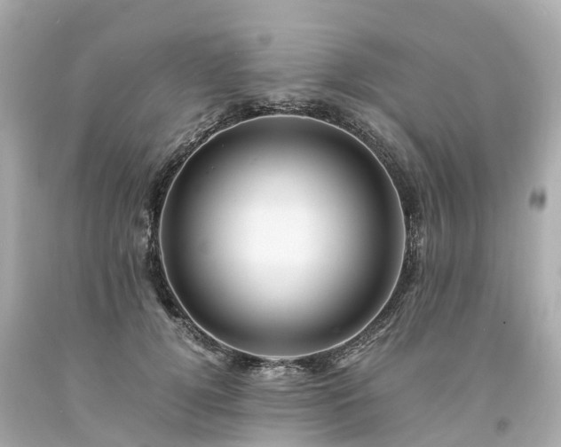 X0000094180752200711021005