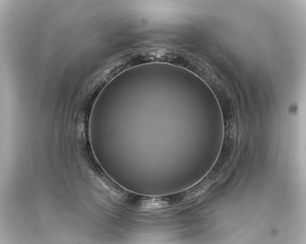 X0000094180754200711021005