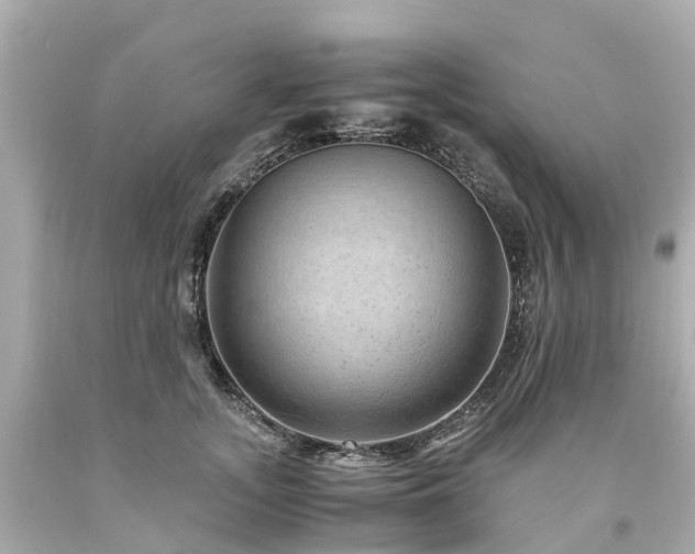 X0000094180755200711021005