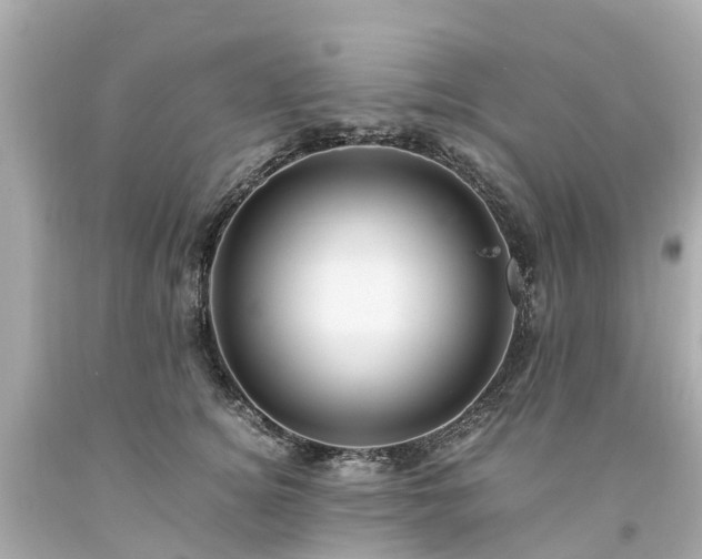 X0000094180756200711021005