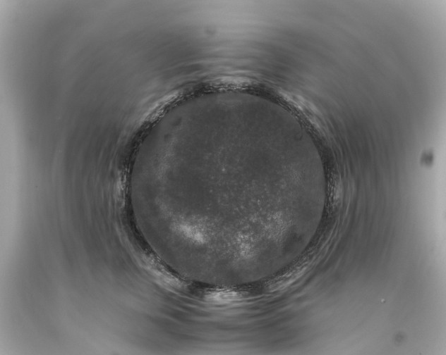 X0000094180759200711021005