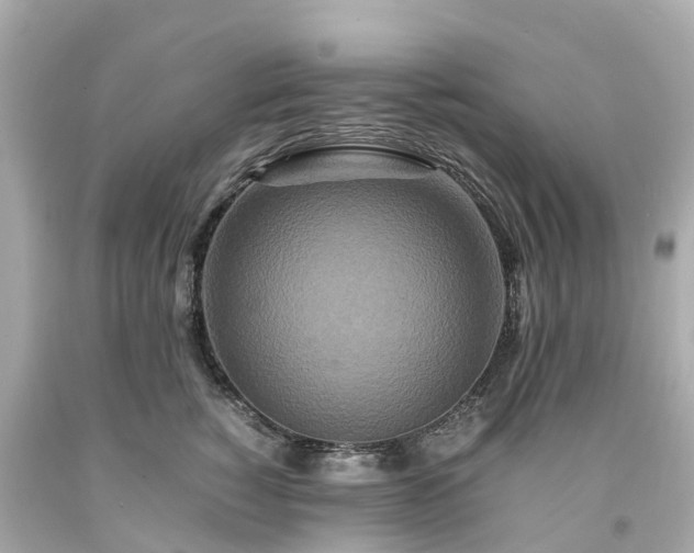 X0000094180760200711021005
