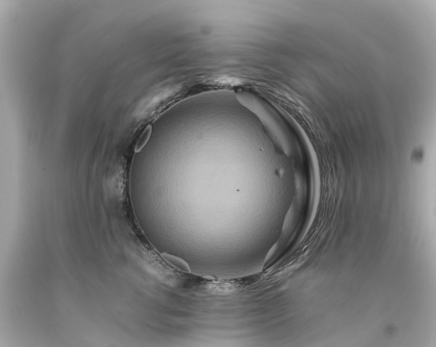 X0000094180762200711021005