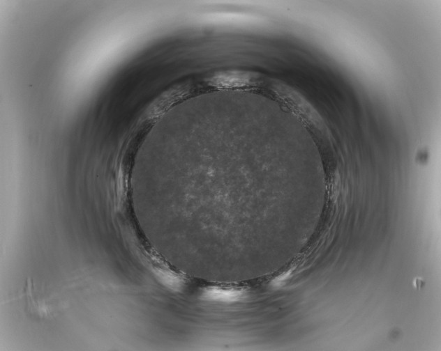 X0000094180763200711021005