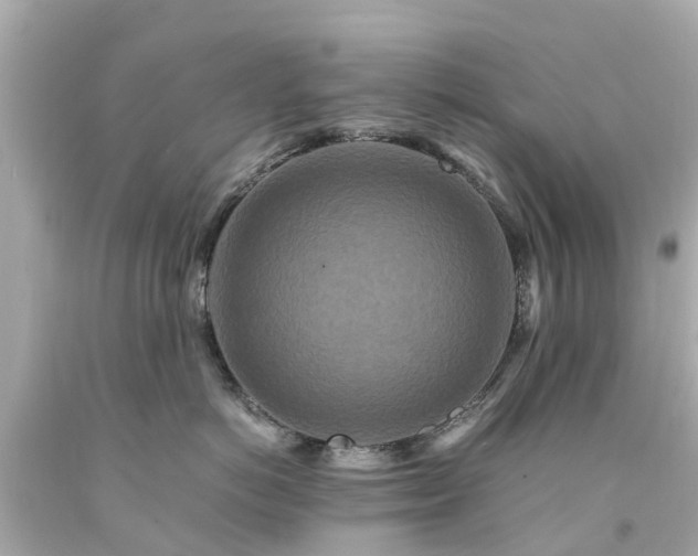 X0000094180766200711021005