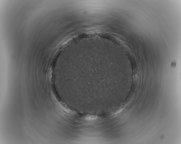 X0000094180767200711021005