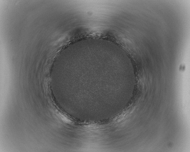 X0000094180769200711021004