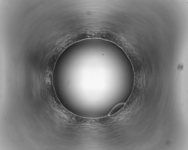 X0000094180770200711021004