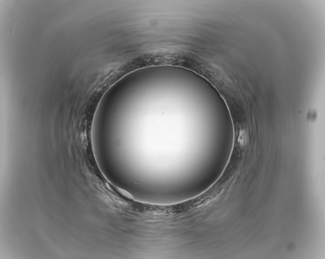 X0000094180771200711021004