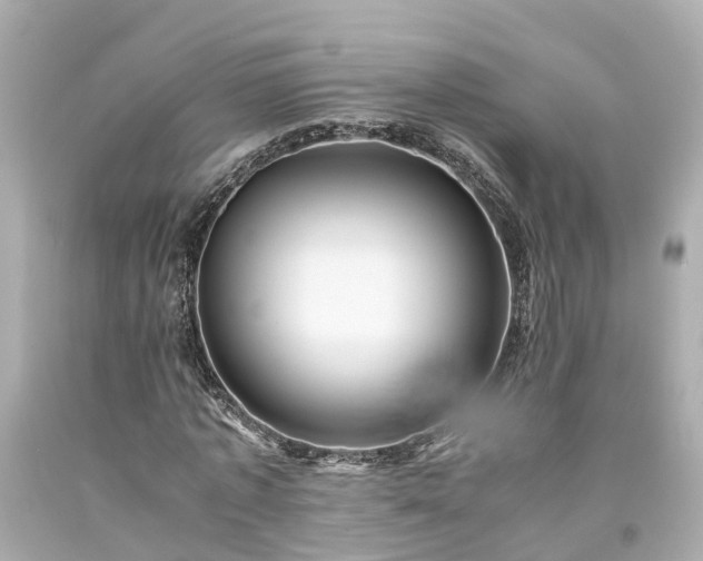X0000094180773200711021004