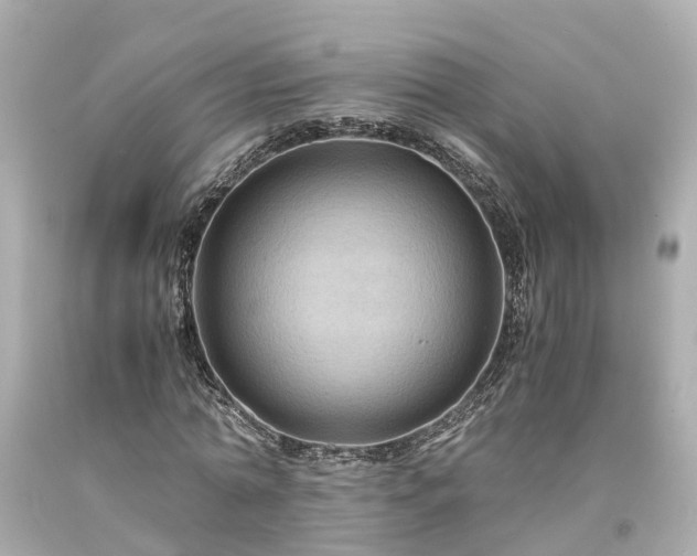 X0000094180774200711021004