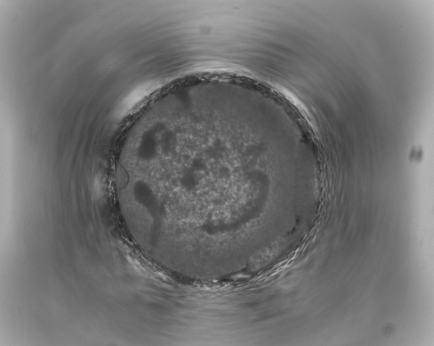 X0000094180775200711021004