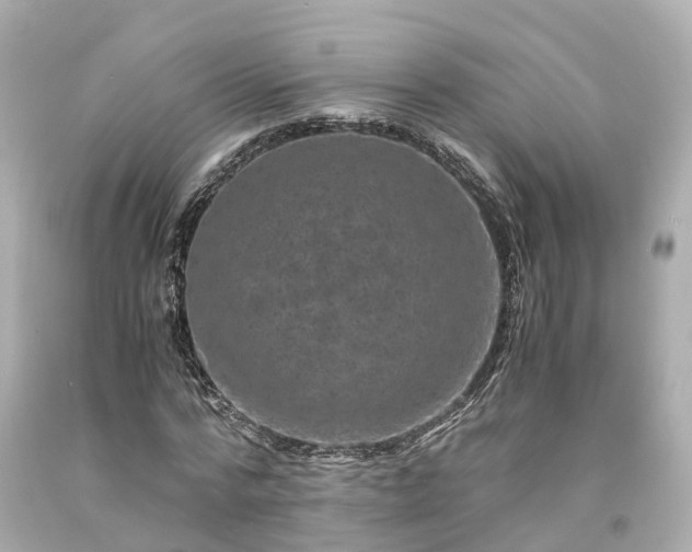 X0000094180776200711021004