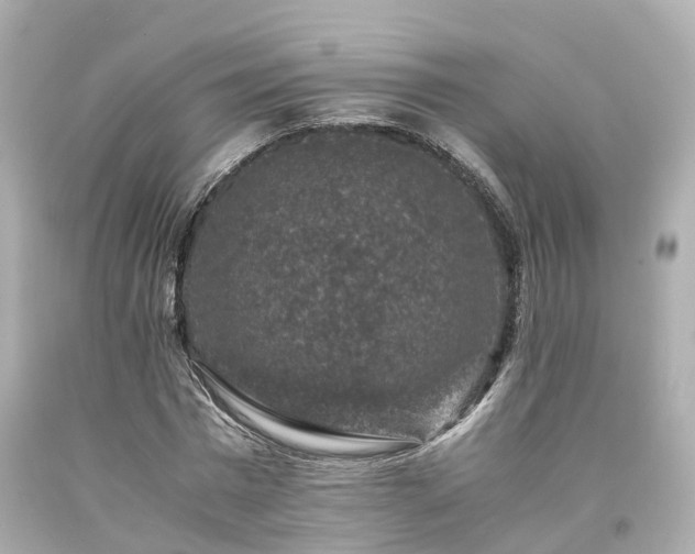 X0000094180777200711021004