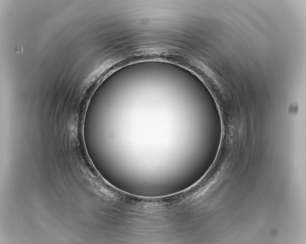 X0000094180778200711021004