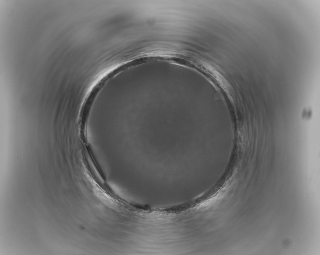 X0000094180779200711021004