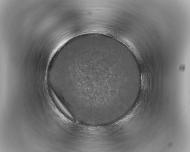 X0000094180780200711021004
