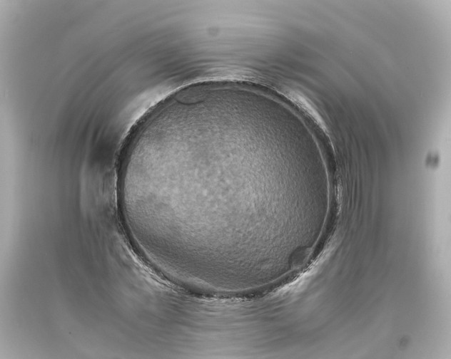 X0000094180781200711021004