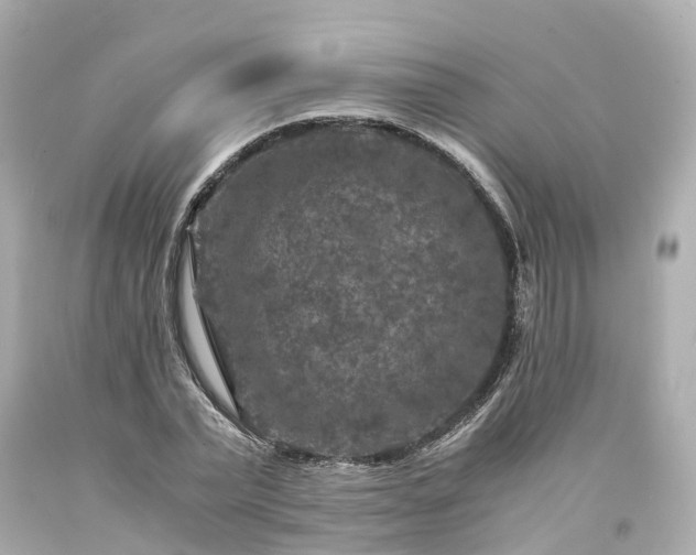 X0000094180783200711021004