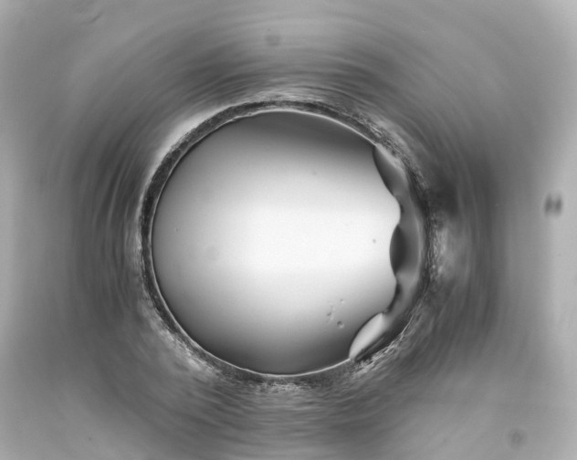 X0000094180784200711021004