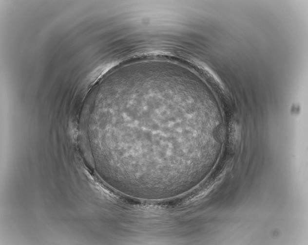 X0000094180785200711021004