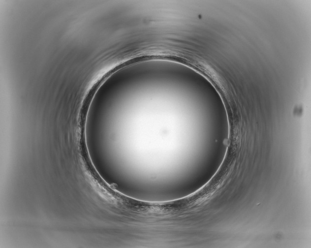 X0000094180787200711021004