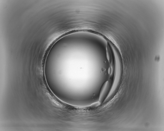 X0000094180789200711021004