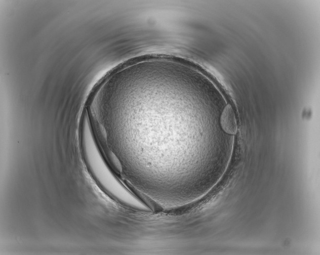 X0000094180791200711021004