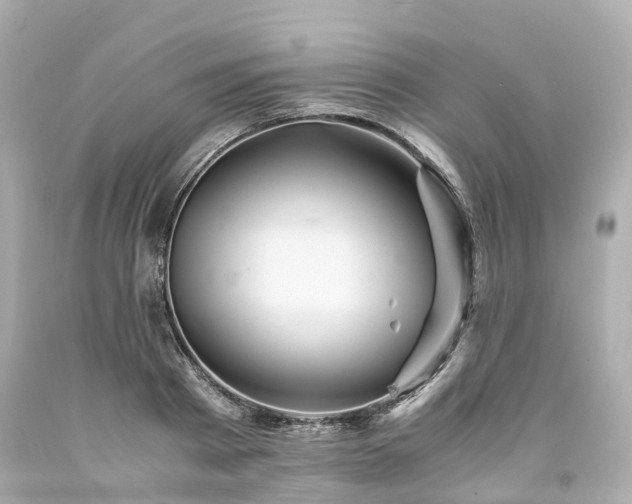X0000094180793200711021004