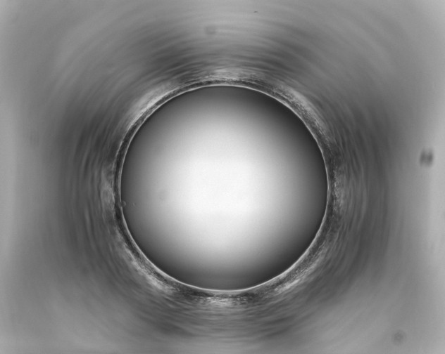 X0000094180794200711021004
