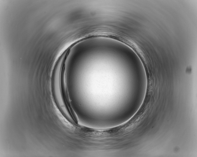 X0000094180795200711021004