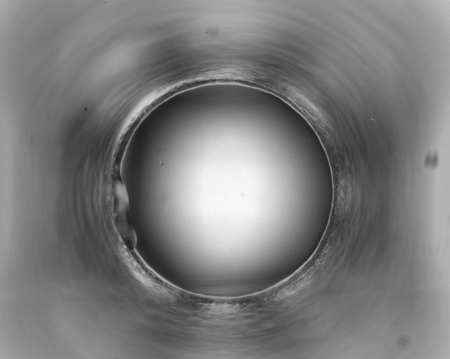 X0000094180800200711021004