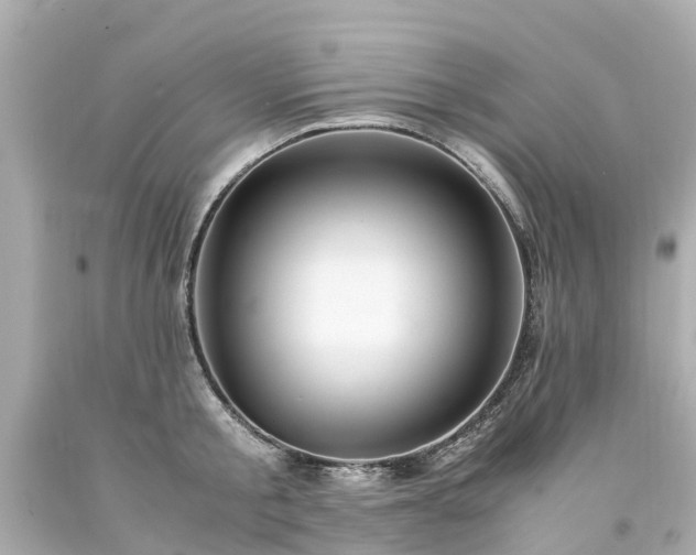 X0000094180805200711021004