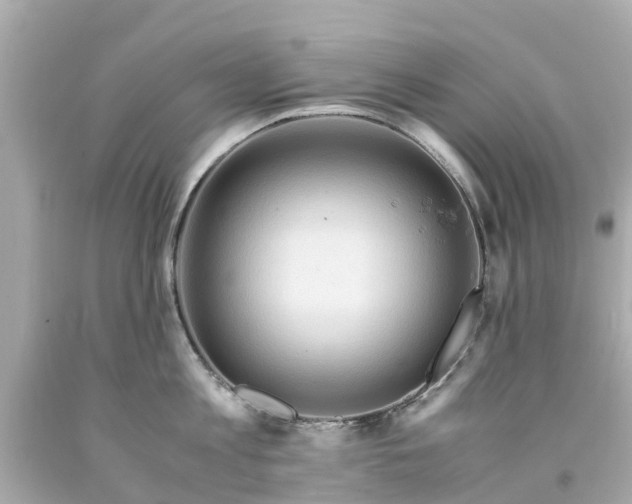 X0000094180813200711021004