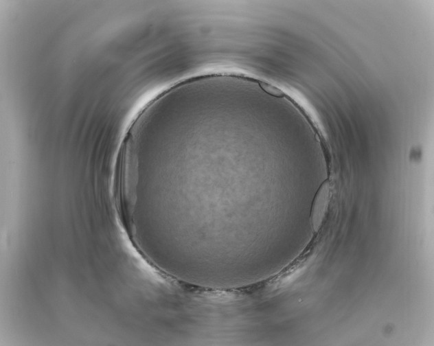 X0000094180815200711021004