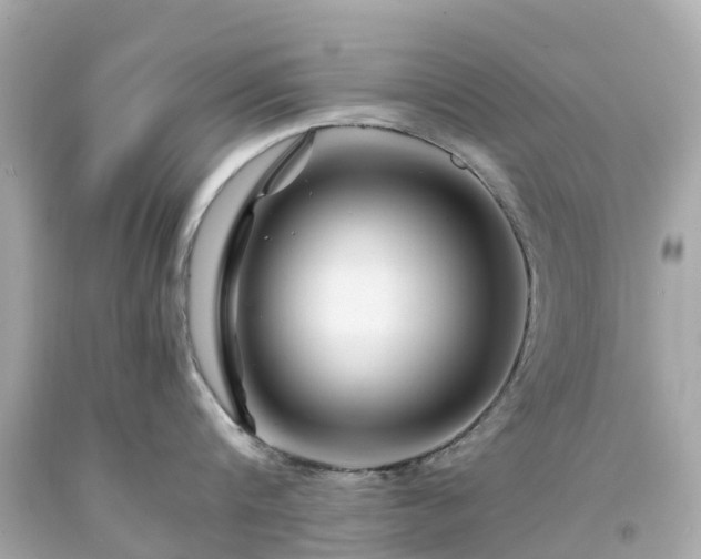 X0000094180816200711021004