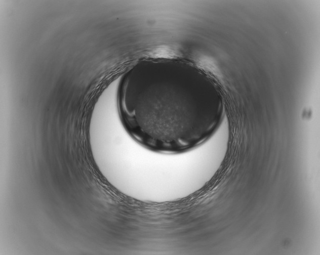 X0000094180818200711021003