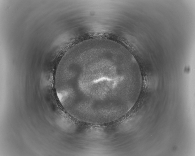 X0000094180820200711021003