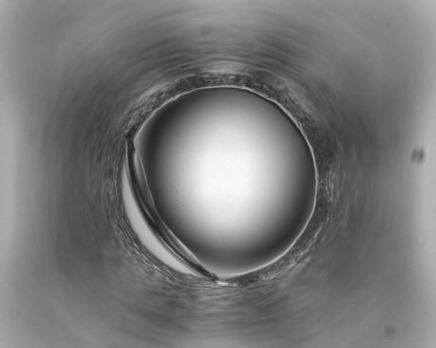 X0000094180821200711021003