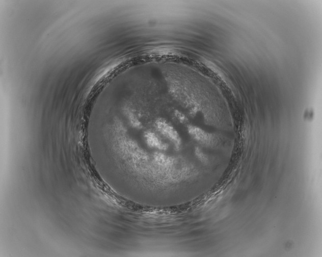 X0000094180823200711021003