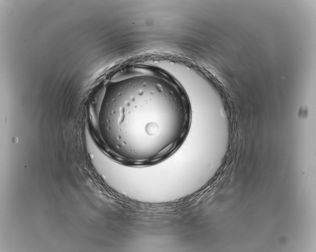 X0000094180824200711021003