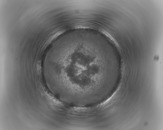 X0000094180825200711021003