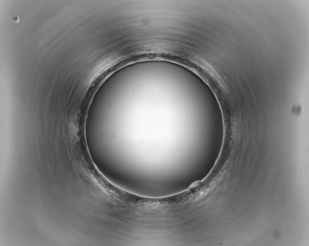 X0000094180826200711021003